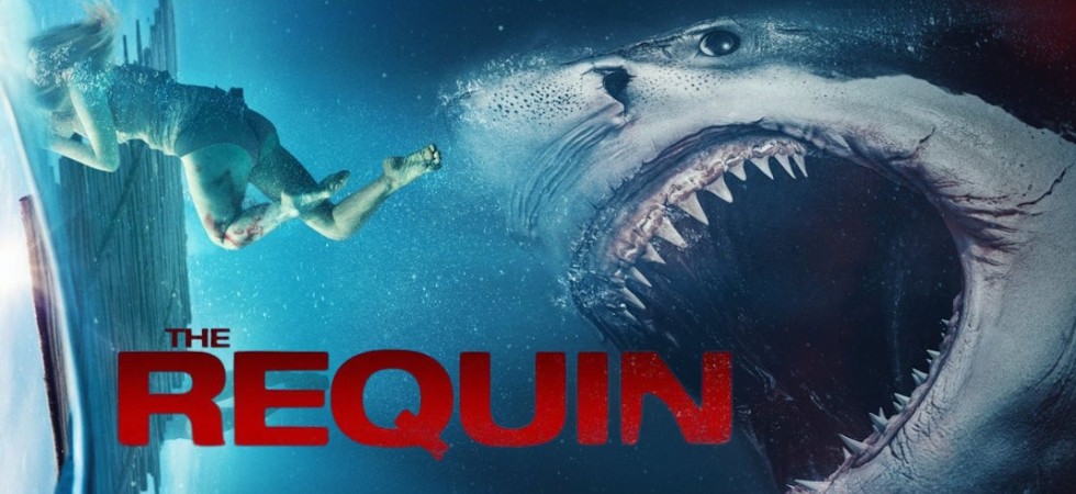 Chơi Vơi Giữa Biển Khơi-The Requin